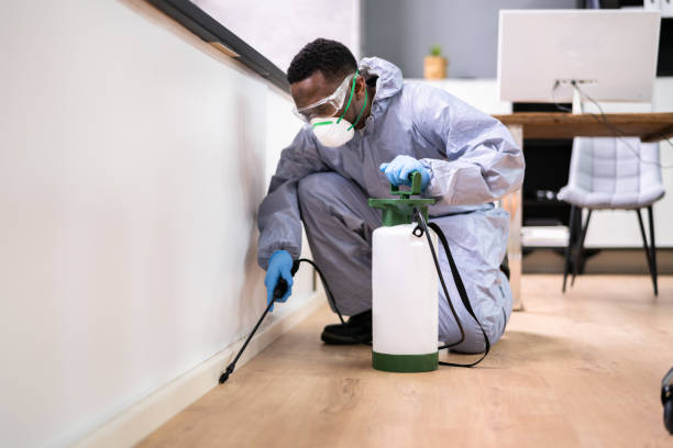 Professional Pest Control in Sebastopol, CA